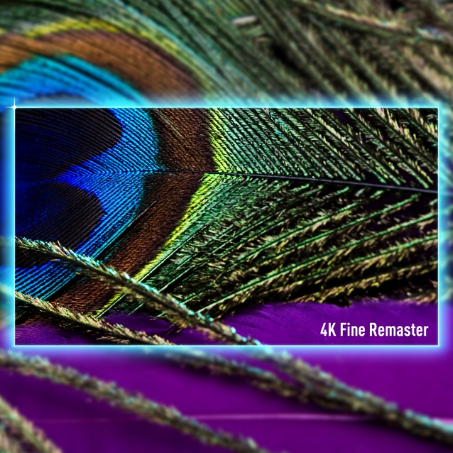 Panasonic TV-85W95BEG 4K Fine Remaster upscaling