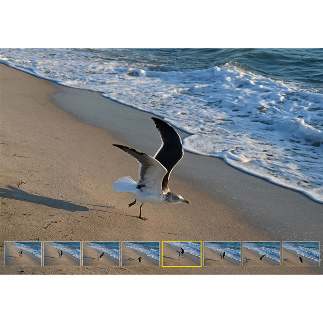 Excellent image quality with 4K color engine