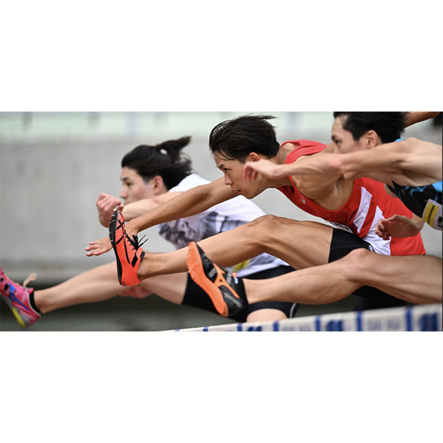  3D Tracking + Subject Detection. A new dimension of AF.