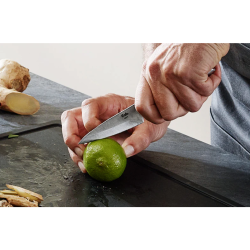 Fissler 002-001-09-000/0