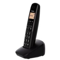Panasonic KX-TGB613EB